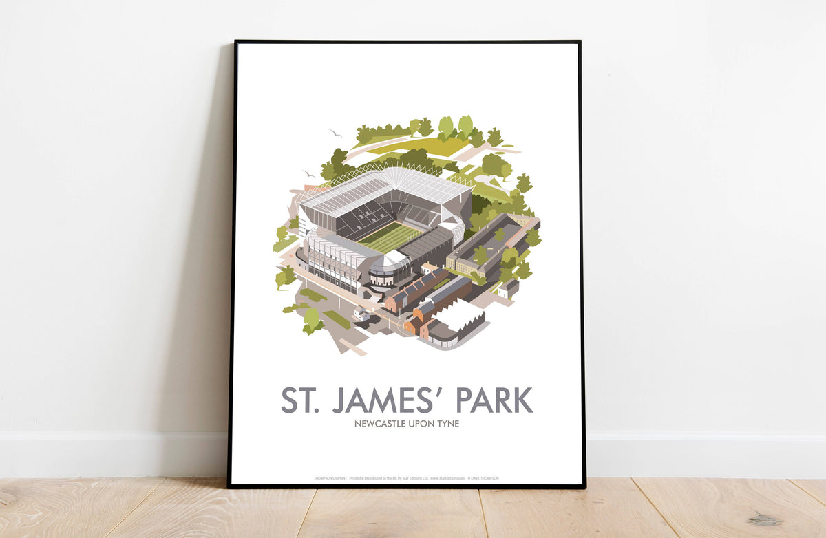 St James' Park, Newcastle Art Print