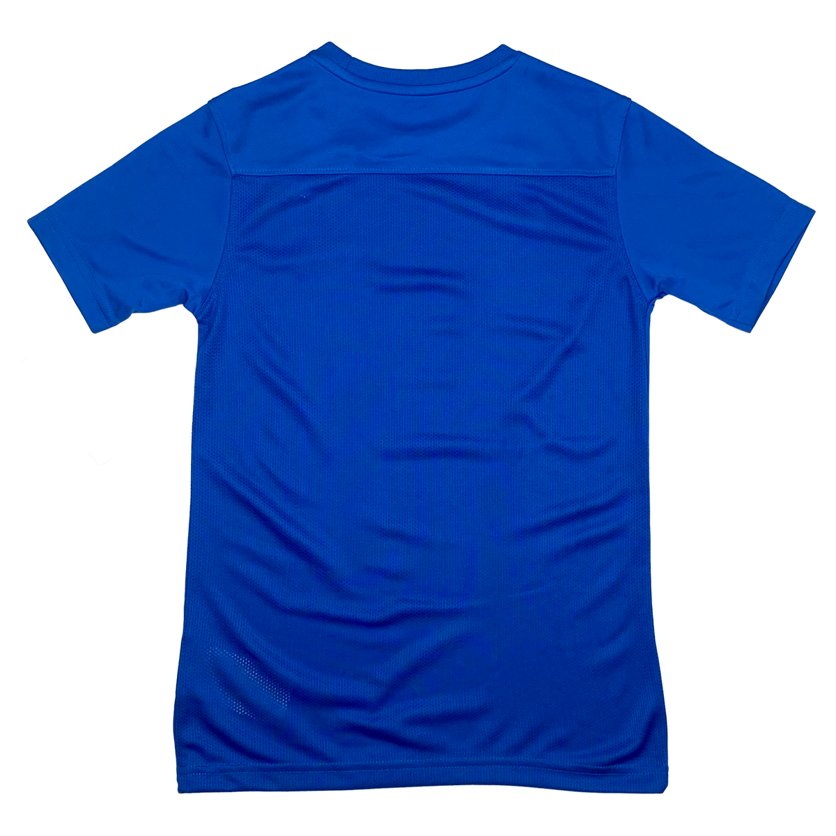 Brighton & Hove Albion Foundation T-Shirt | 8-9 Years