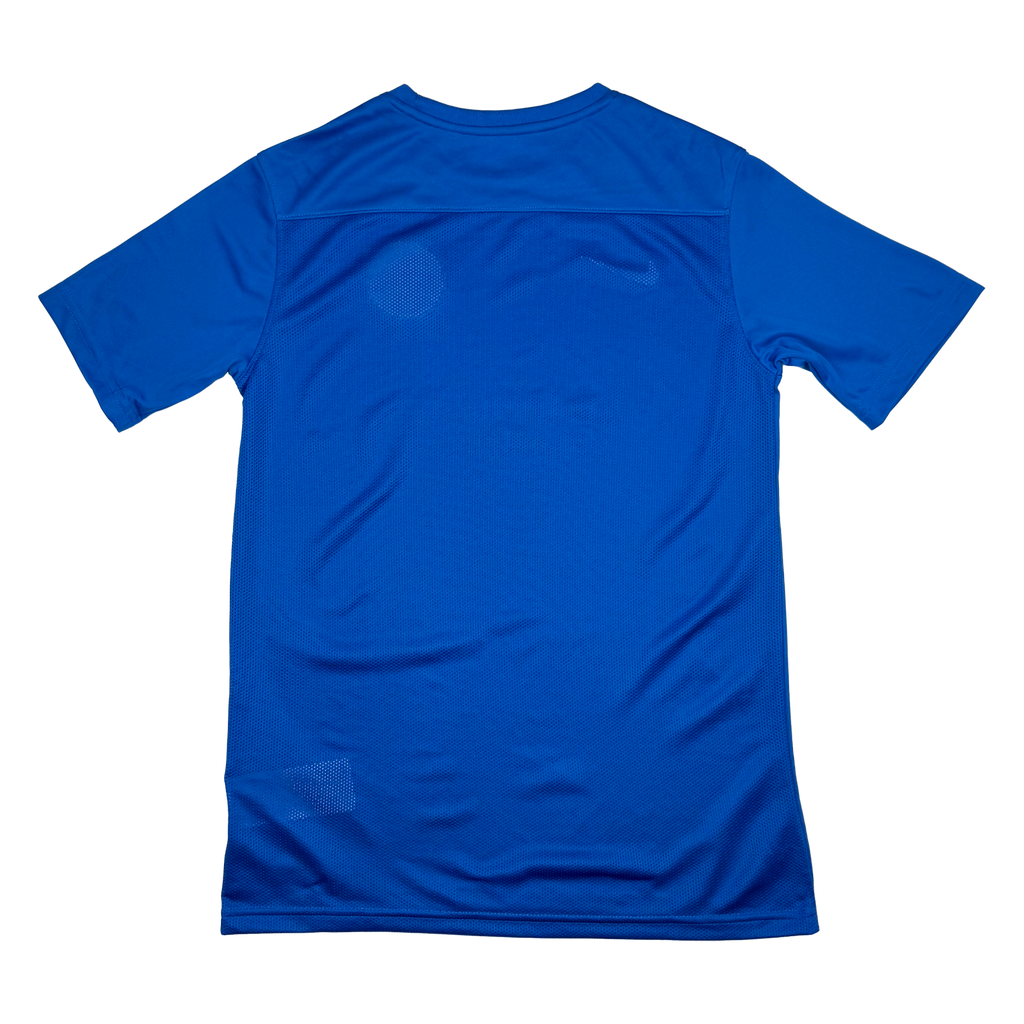 Brighton & Hove Albion Training Shirt | 14-15 Years