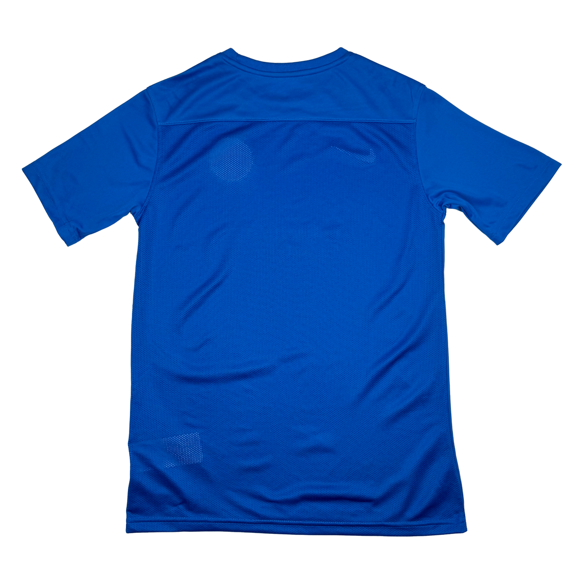 Brighton & Hove Albion Training Shirt | 14-15 Years