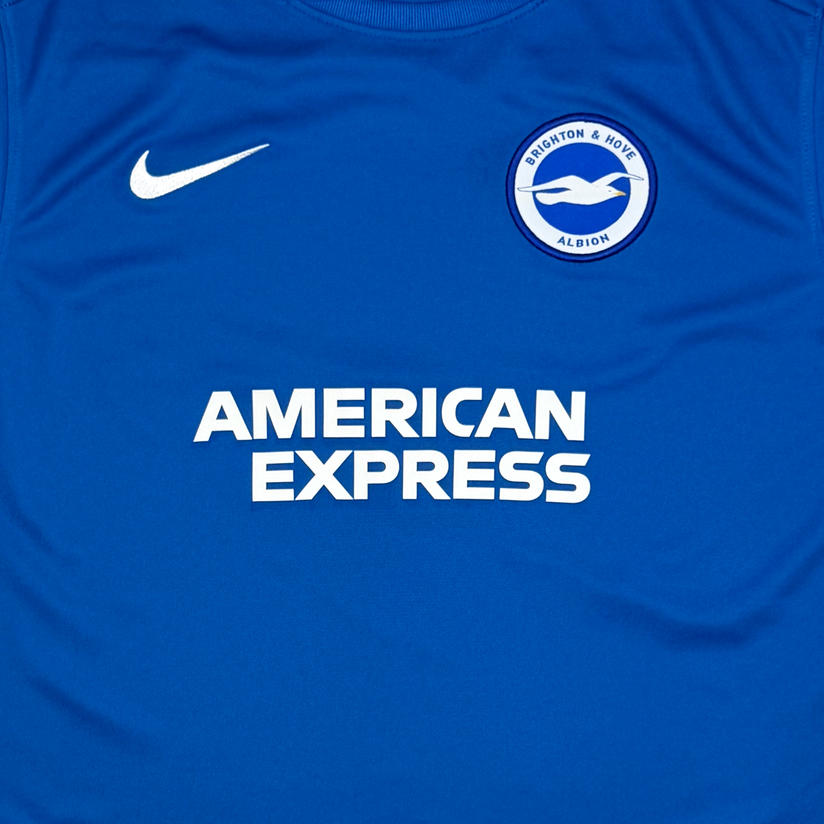 Brighton & Hove Albion Training Shirt | 14-15 Years