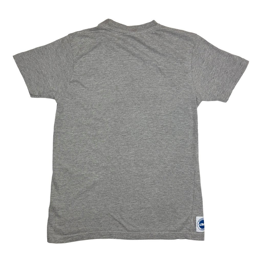 Grey Brighton & Hove Albion T-Shirt | 9-10 Years