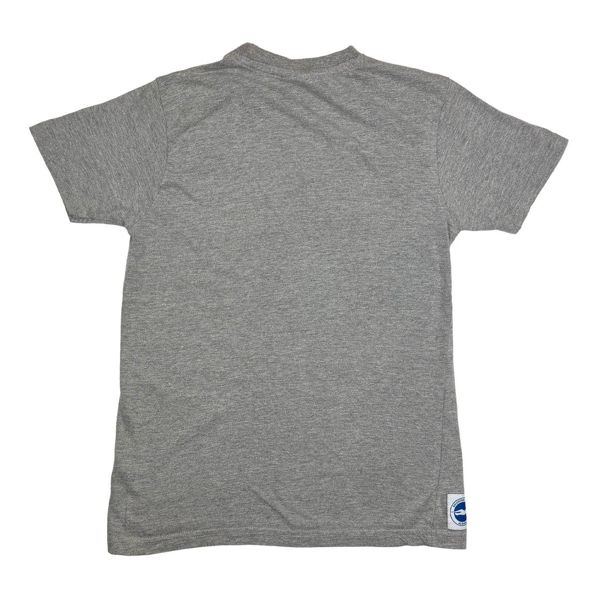 Grey Brighton & Hove Albion T-Shirt | 9-10 Years