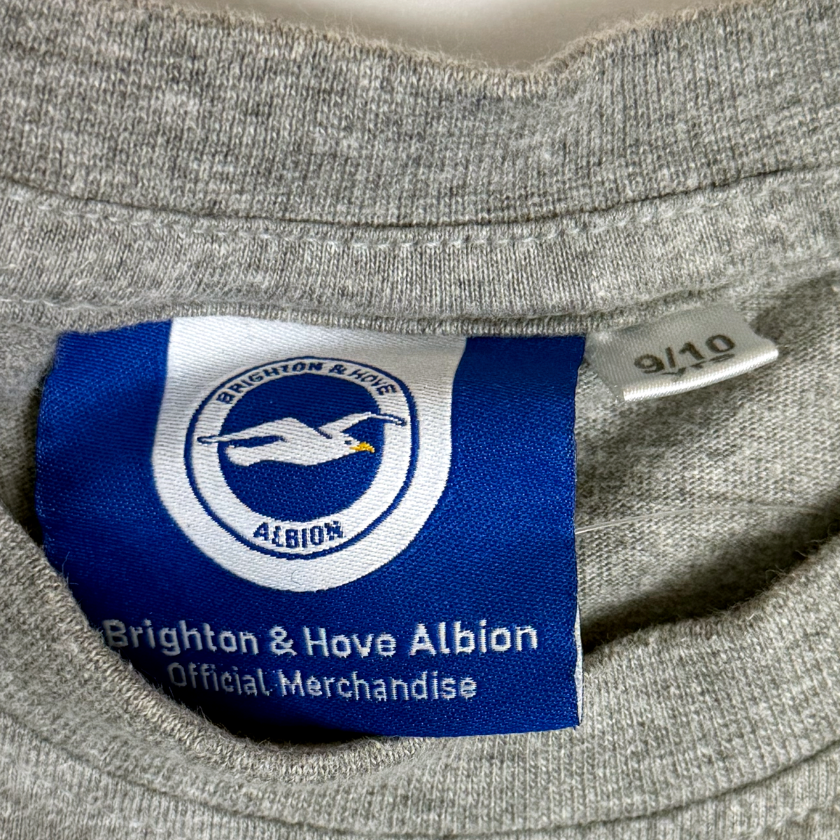 Grey Brighton & Hove Albion T-Shirt | 9-10 Years