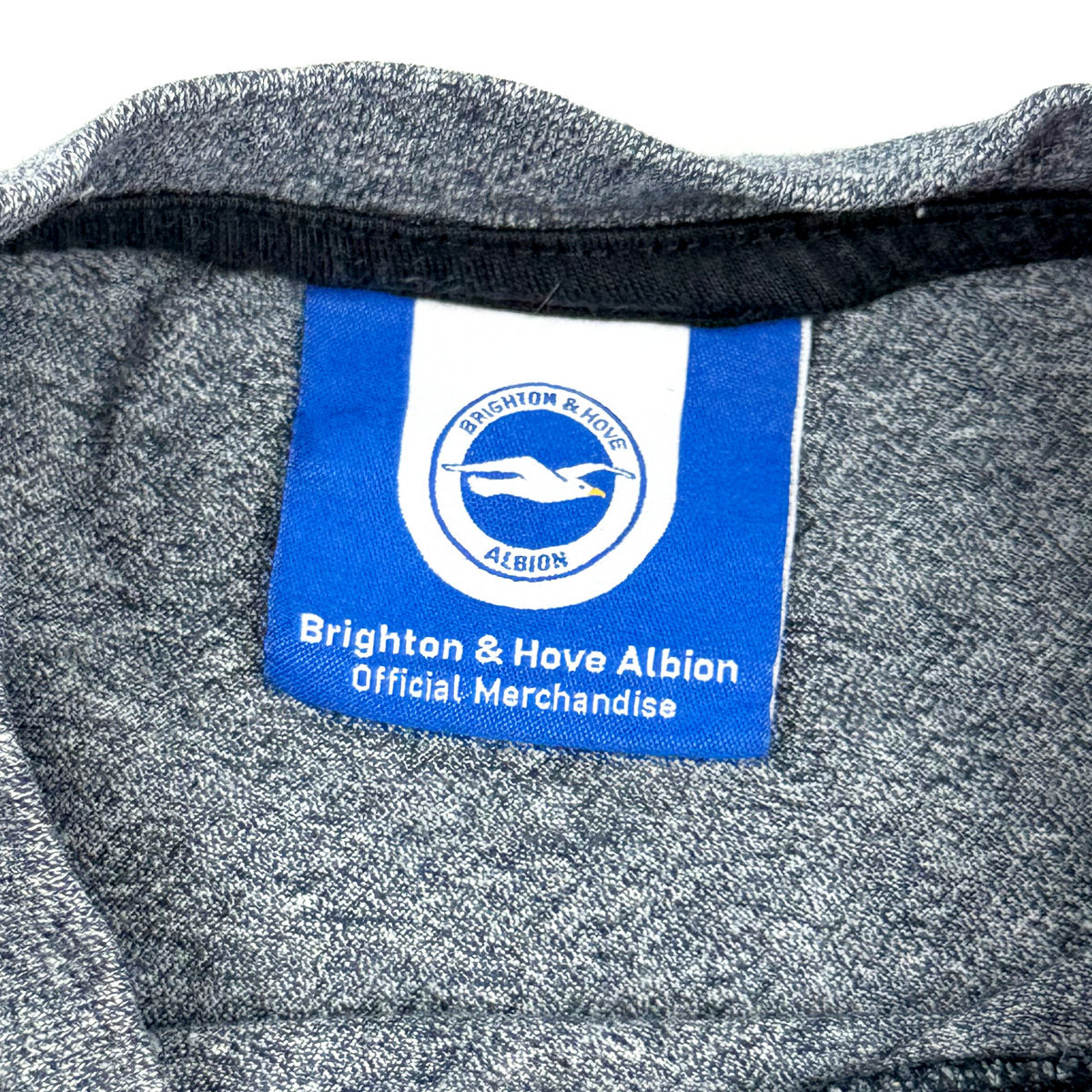 Brighton & Hove Albion Block T-Shirt | 12-13 Years