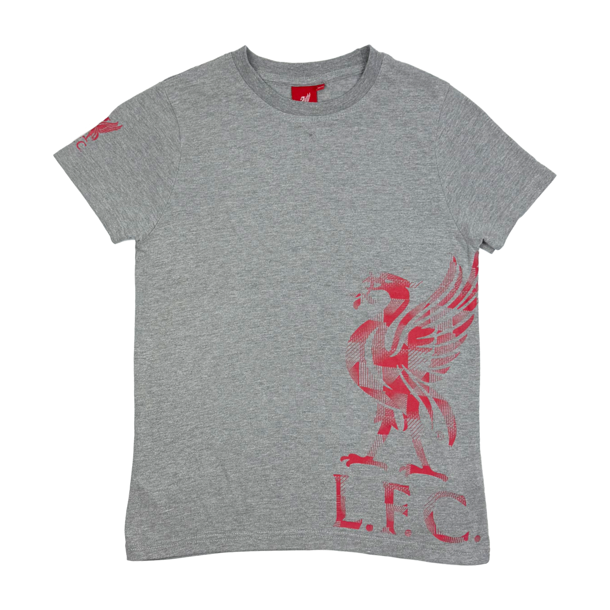 Liverpool Grey Liverbird Print T-Shirt | 10-11 Years