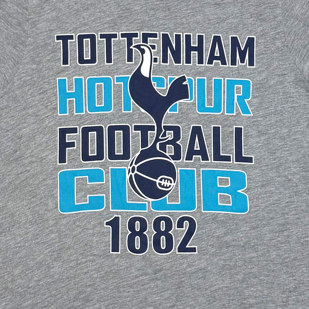 Tottenham Hotspur Grey Graphic T-Shirt | 9-10 Years
