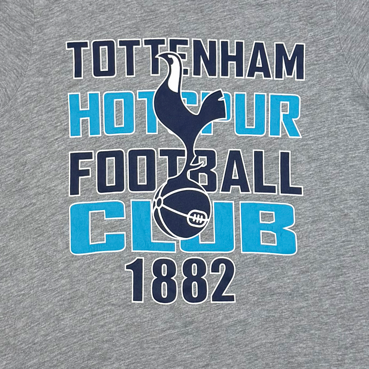 Tottenham Hotspur Grey Graphic T-Shirt | 9-10 Years