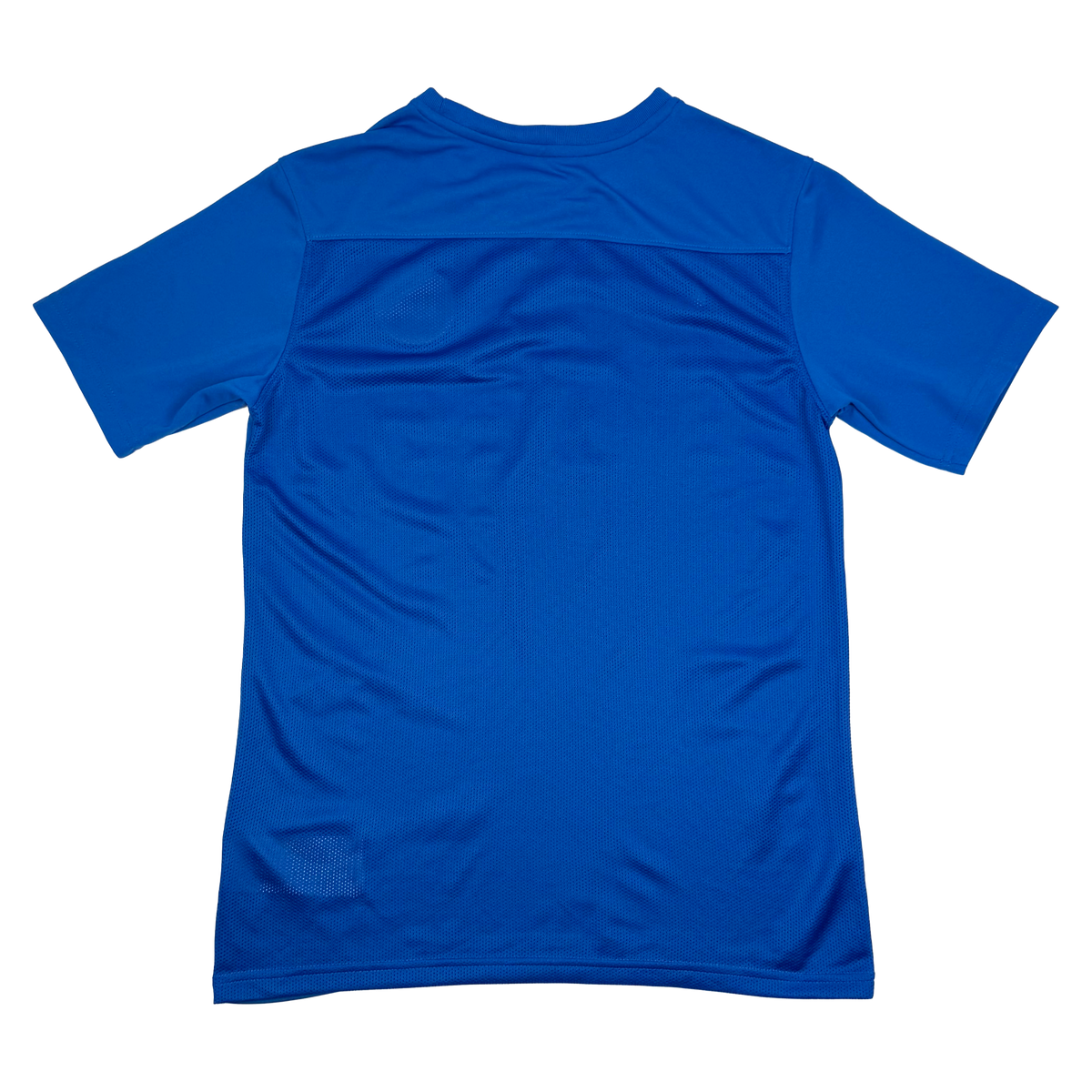 Brighton & Hove Albion Nike Junior Park VII Training Shirt | 14-15 Years