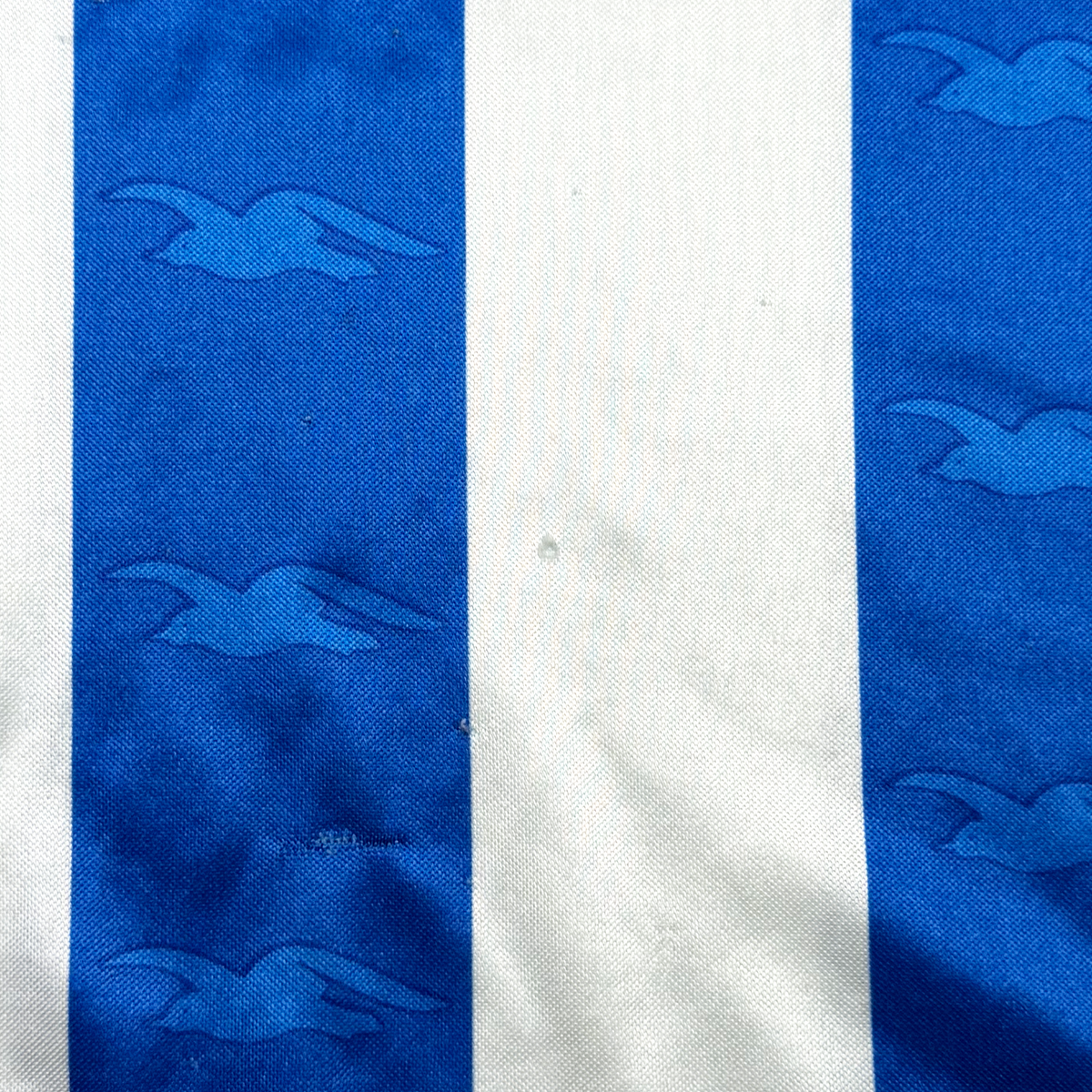 Brighton & Hove Albion Home Shirt (2001-02) | Large