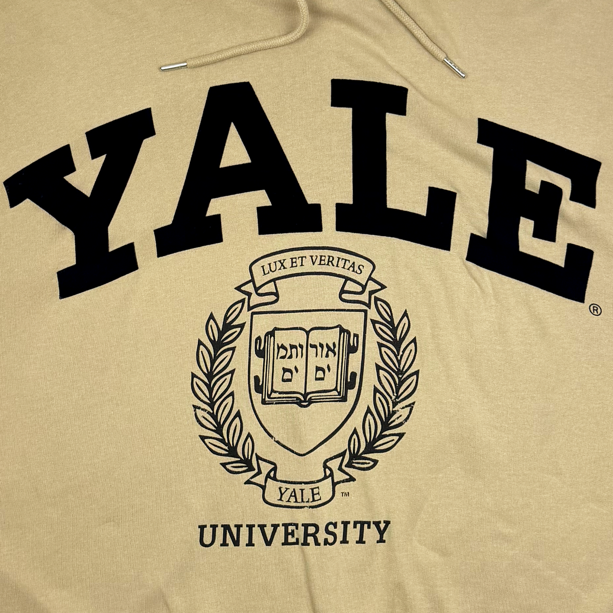 Yale University Sand Oversized Cropped Hoodie | Women's Extra Large