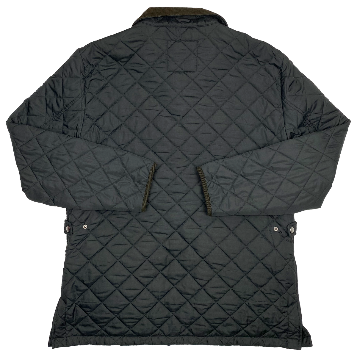 Brighton & Hove Albion Padded Jacket | XXL
