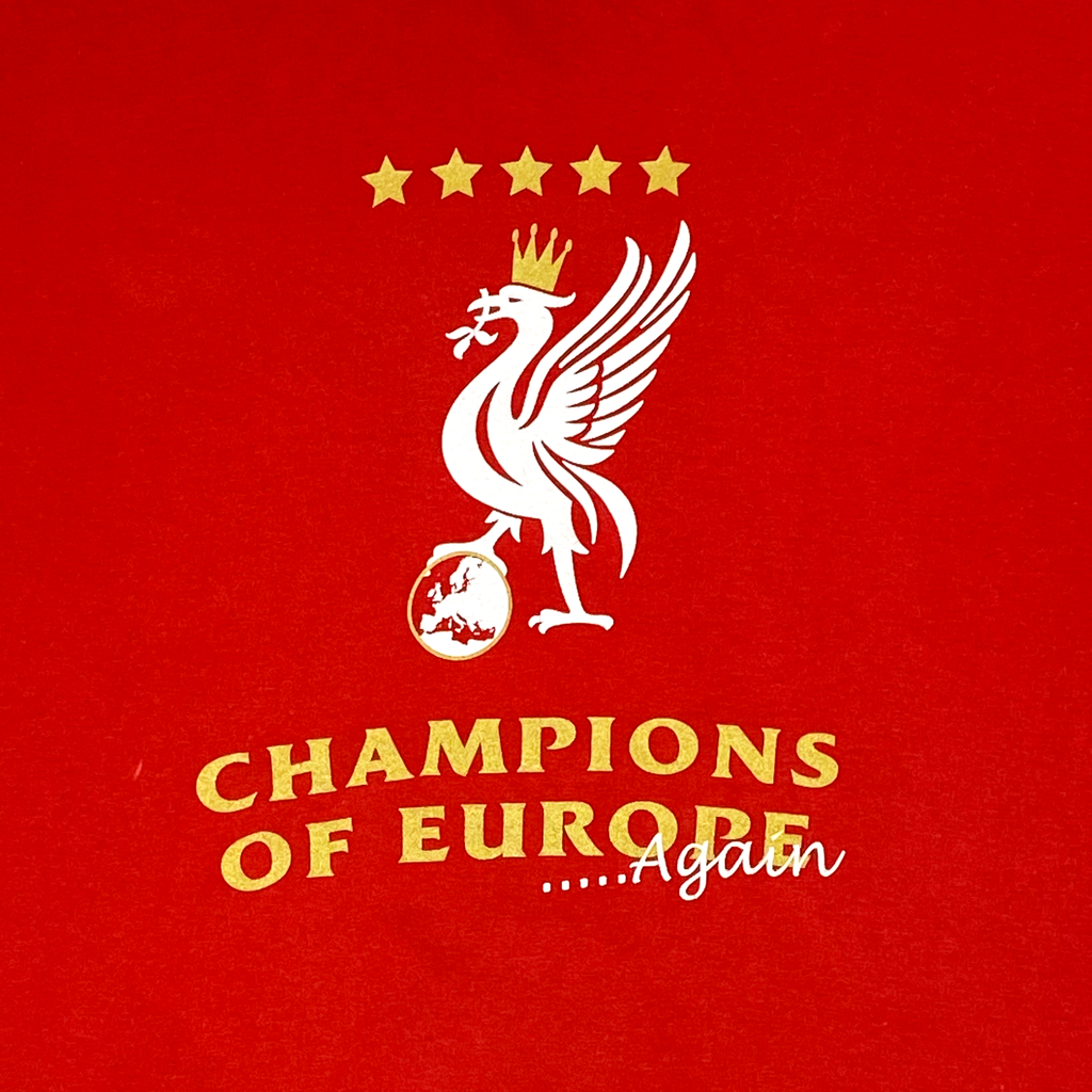 Liverpool Champions of Europe 2005 | Medium