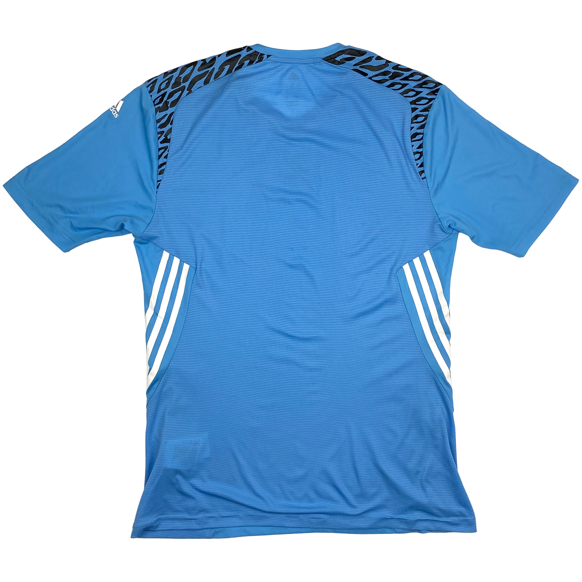 Lionel Messi Sky Blue Training Shirt | Small