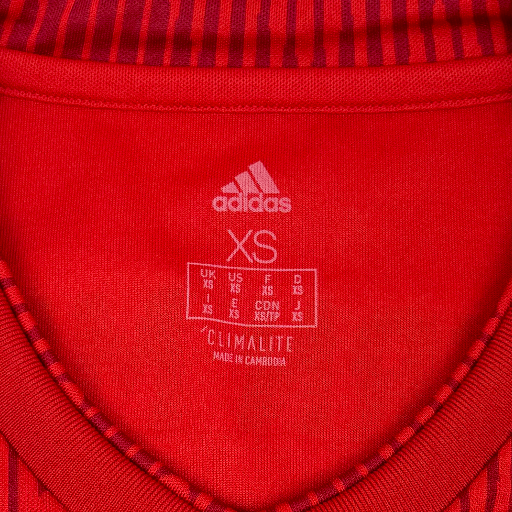 Bayern Munich Home Shirt (2018-19) | Extra Small
