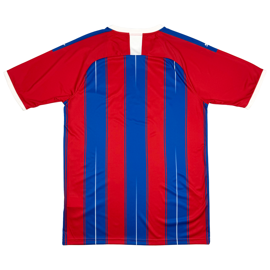 Crystal Palace Home Shirt (2019-20) | Medium