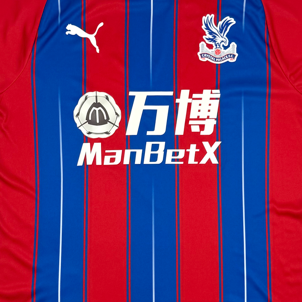 Crystal Palace Home Shirt (2019-20) | Medium