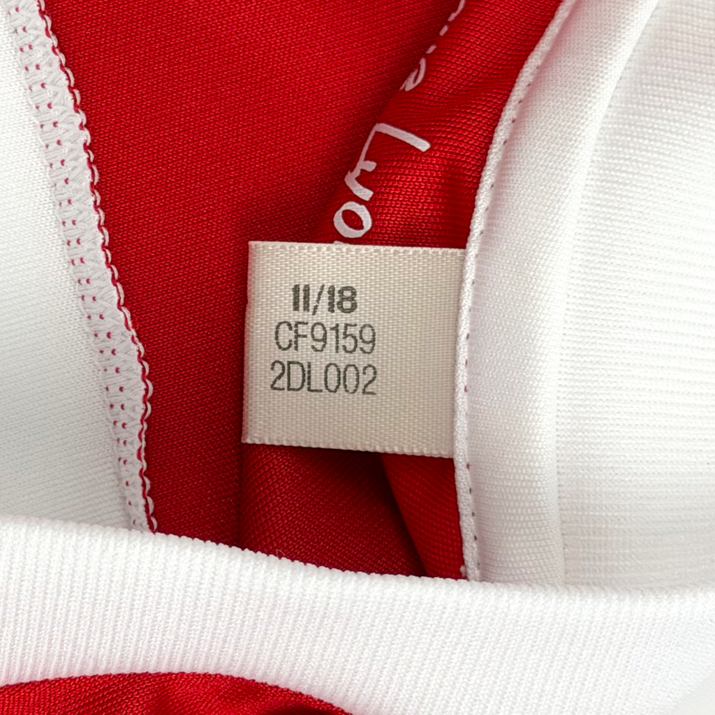 Lyon Home Shirt (2018-19) | Small